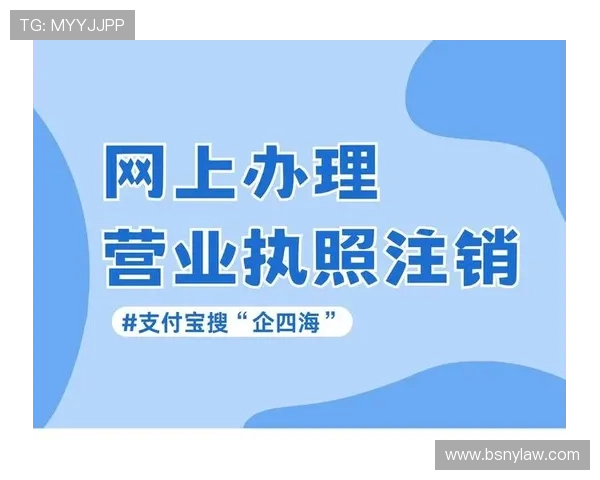 凯发天生赢家网站登录注册流程详解新手快速上手的实用指南 凯发天生赢家网站登录注册流程详解新手快速上手的实用指南